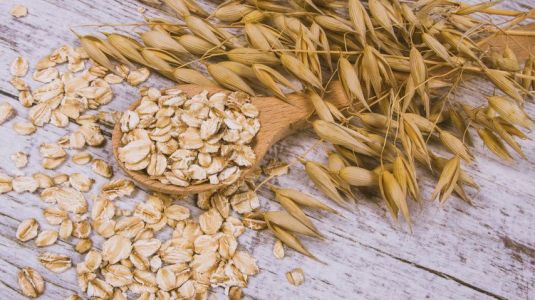 Oats, good for your health |  Gerblé